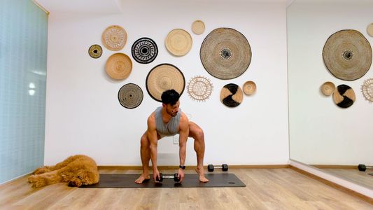 Lower Body Stability