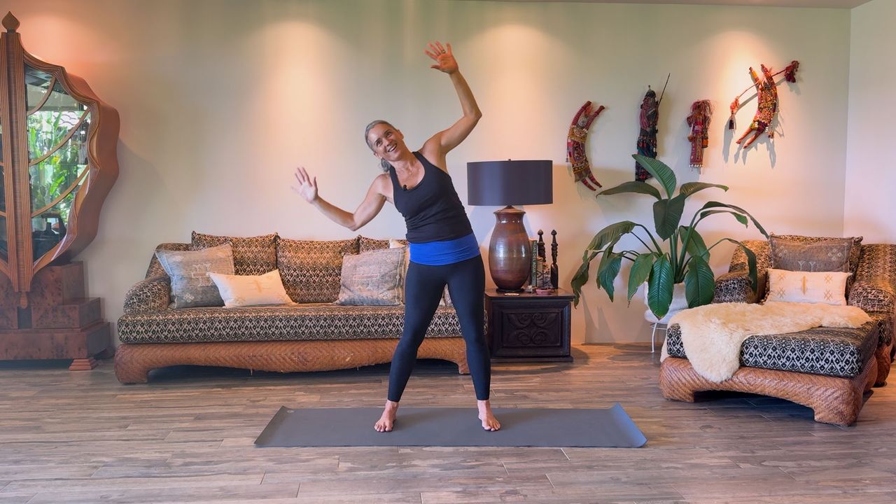 Menopause Energy Boost