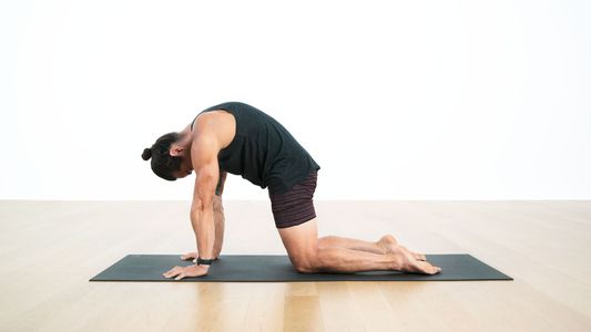 Handstand Tutorial 1: The Breath, Spine, & Pelvis 