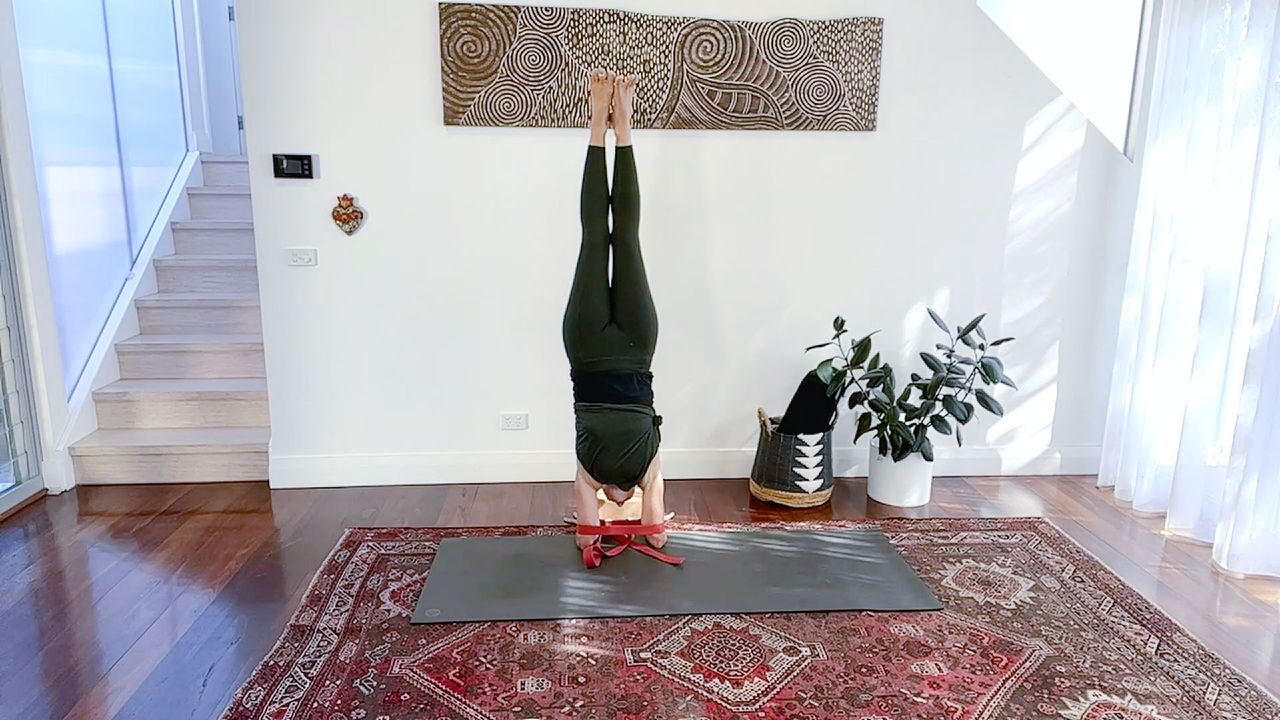 Forearm Stand Series: Pincha Mayurasana Flow