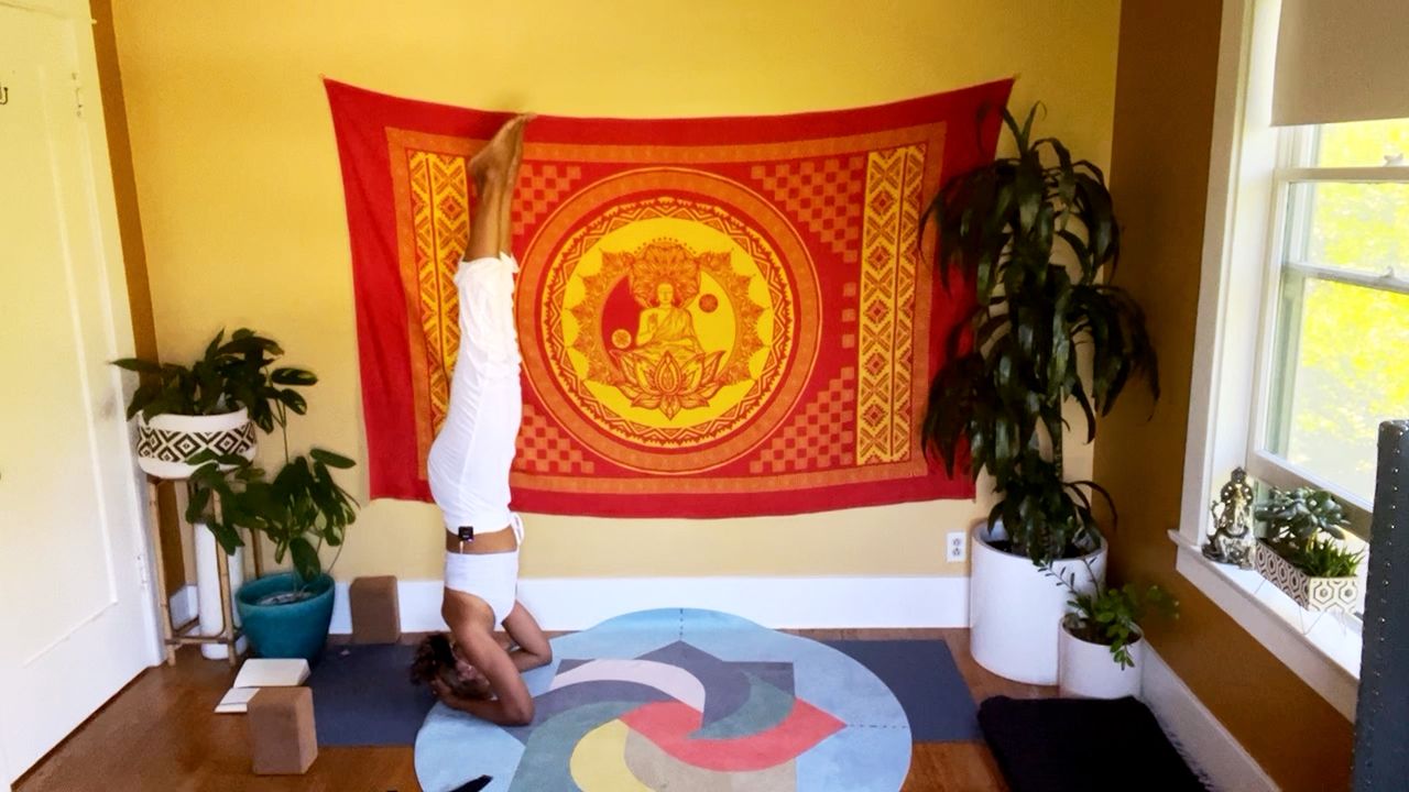 Flip Your Perspective Flow