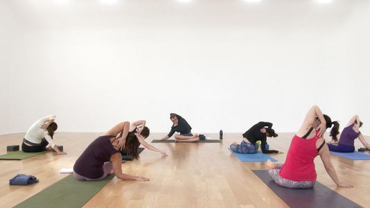 Compass Pose Flow