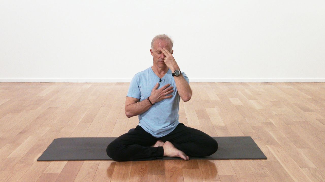 Rod Stryker Take Classes with Rod Stryker Glo