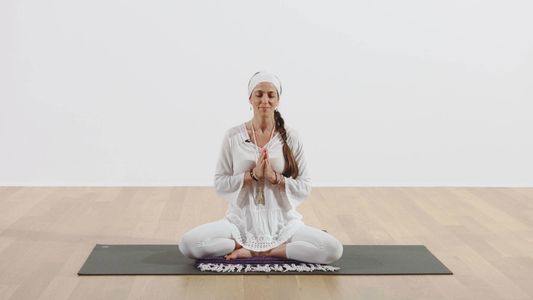 Meditative Mind