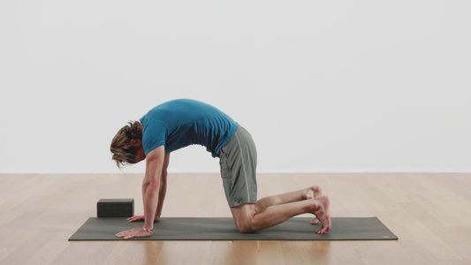 Anterior Abdominals